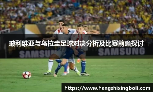 333体育官网登录