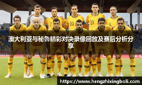 333体育官网登录